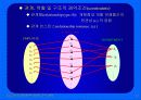 Database System 개념 및 구조 13페이지