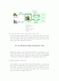 한국델파이: 공급체인관리(SCM)의 성공적 도입과 실천 사례연구 9페이지