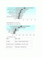 중소기업의 마케팅 강화를 위한 정보화 지원과제 12페이지