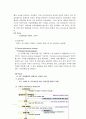롯데제과의 [자일리톨] 껌의 성공사례 10페이지