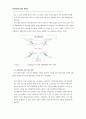 유아 과학교수방법의 질적 개선을 위한 포트폴리오 평가 활용이 예비교사.. 10페이지