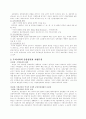중앙정부와 지방정부간의 관계 3페이지