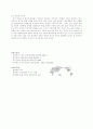 글로벌시대의 국가발전전략 11페이지