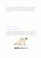 육상 단거리와 100m110m허들 8페이지
