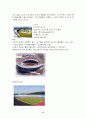 2002월드컵과 경제적 효과 17페이지
