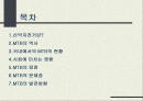 산악자전거(MTB) 2페이지
