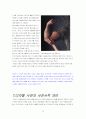 디지털 사진에 관한 연구 19페이지