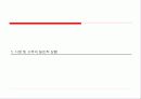 온라인쇼핑몰 Business Model iLuxury.com 3페이지
