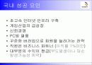 NC Soft Lineage 성공과 실패 10페이지