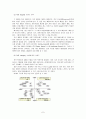 국제기업의 브랜드전략과 사례연구 7페이지