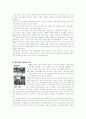 미국의 외교,합의에 대한 고찰 8페이지