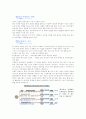 [사회과학] 네트워크 마케팅  4페이지
