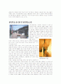 답사보고서 3페이지