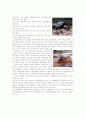 답사보고서 5페이지