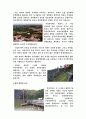 [ 문화도시 ]꾸리짜바의 사례와 한국 도시문화의 현실과 과제 11페이지