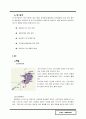 황무지에서 공간으로 - 미래형 테마파크 하우스텐보스를 사례로 – 4페이지