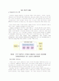 Local company에서 Global company로의 변신[삼성전자] 8페이지