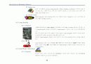 Mall of America 개발과정 및 개발 성공 요인 [Bloomington] 10페이지