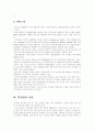 한국 IT산업의 현황과 전망(미래) 13페이지