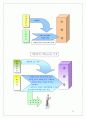 (마케팅) 라네즈 화장품 촉진전략 분석 44페이지