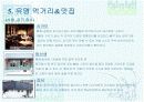 음식문화의 이해 15페이지