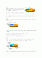 나뚜루 아이스크림 마케팅전략 9페이지