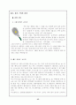 테니스의 모든것 43페이지