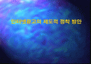 인터넷광고의 제도적 정착 방안 1페이지