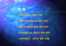 인터넷광고의 제도적 정착 방안 2페이지