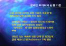 인터넷광고의 제도적 정착 방안 11페이지