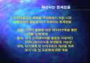 인터넷광고의 제도적 정착 방안 14페이지
