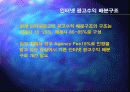 인터넷광고의 제도적 정착 방안 26페이지
