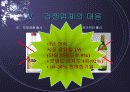 경영전략-진로의 마케팅 차별화 전략 10페이지