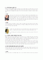 우리나라 산업화시대의 문학 5페이지