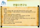 안철수 연구소(닷컴기업의 성공 사례분석) 7페이지