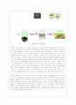 환경과학 레포트 18페이지