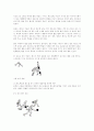 [예체능] 농구에 대하여 15페이지