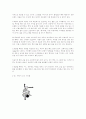 [예체능] 농구에 대하여 20페이지