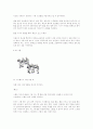 [예체능] 농구에 대하여 38페이지