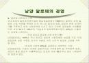 (마케팅 사례) 남양알로에의 세계화 경영전략 11페이지