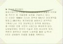 (마케팅 사례) 남양알로에의 세계화 경영전략 13페이지