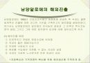(마케팅 사례) 남양알로에의 세계화 경영전략 14페이지