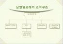 (마케팅 사례) 남양알로에의 세계화 경영전략 24페이지