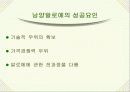 (마케팅 사례) 남양알로에의 세계화 경영전략 30페이지