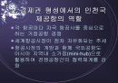 동북아시아 물류중심지로서의 한국경제의 전망 7페이지