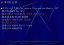 피임에 관한 프리젠테이션(파워포인트) 34페이지