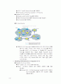 Routing Protocol 18페이지