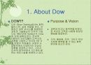Dow Chemical 사의 마케팅 전략 3페이지