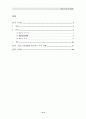 IPv6개요 및 동향 2페이지