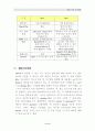IPv6개요 및 동향 10페이지